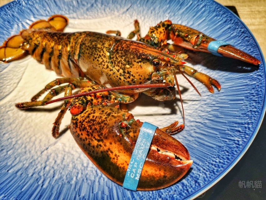 IMG_20190826_172516-01