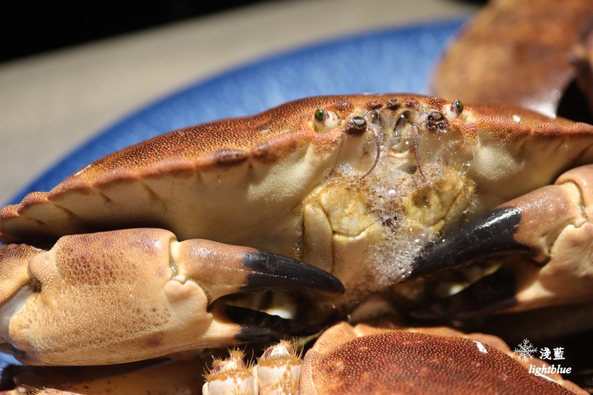 新竹美食:淺藍 × 山上走走~二訪超高cp值日式無菜單海鮮鍋物,螃蟹正肥美