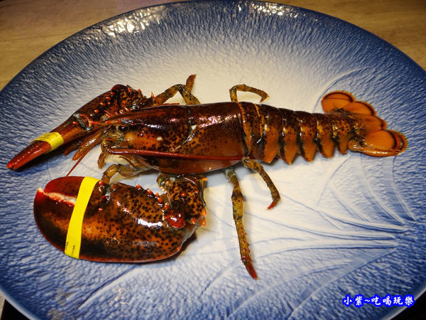 活波士頓龍蝦-山上走走 (3).jpg