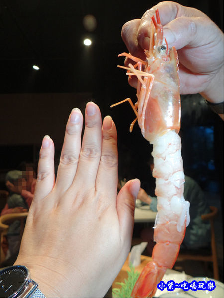 天使紅蝦-山上走走 (1).jpg