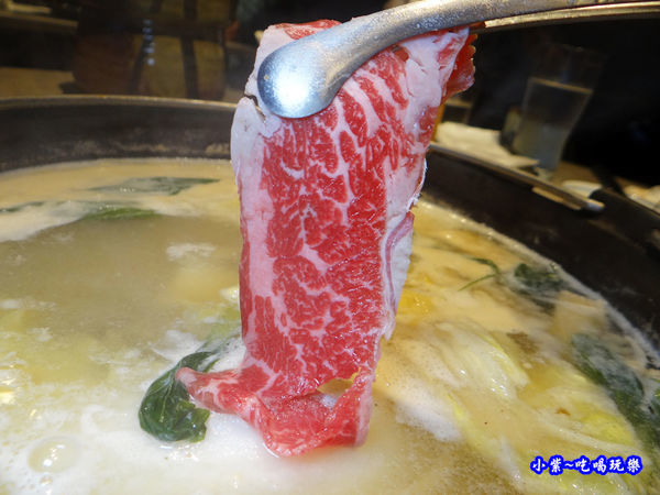 美國肩小排-山上走走 (4).jpg