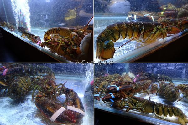 活波士頓龍蝦-山上走走 (2).jpg