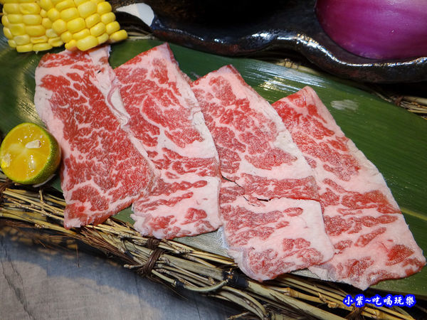 美國肩小排-山上走走 (3).jpg