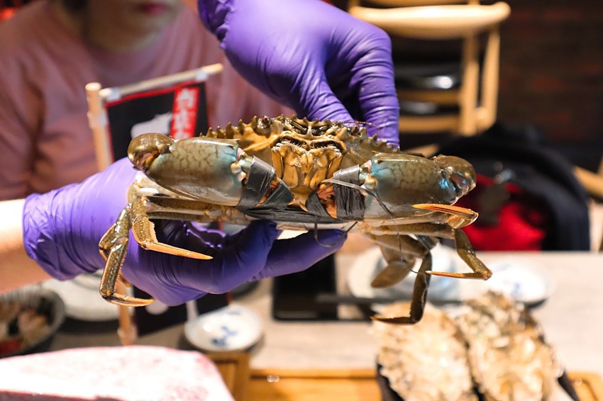 【新竹美食】山上走走｜千元吃到鹿兒島A5和牛、無菜單料理、新竹日式鍋物、活體海鮮鍋物等頂級食材