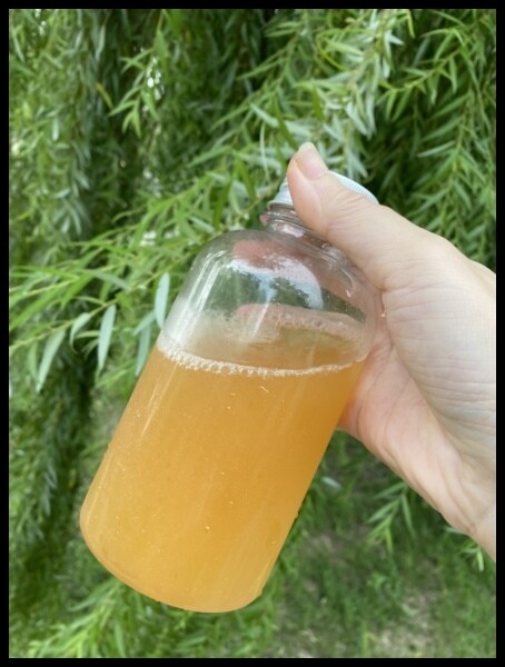 【goiae果葉康普茶】小小一包方便攜帶,隨沖隨喝,酸甜果香