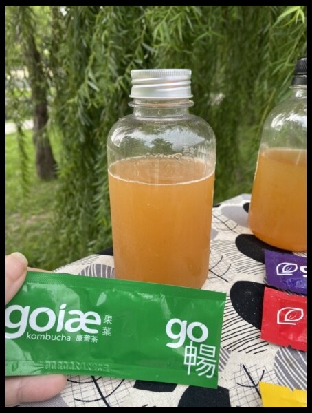 【goiae果葉康普茶】小小一包方便攜帶,隨沖隨喝,酸甜果香