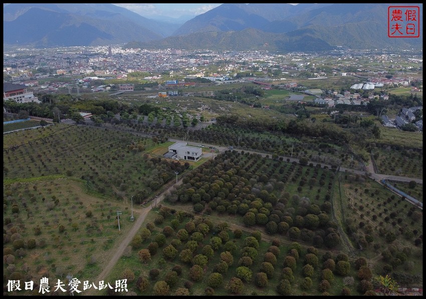 埔里景點|果寶歡酵有機嘉寶果農場．體驗採樹葡萄樂趣/DIY - 假日農夫愛趴趴照