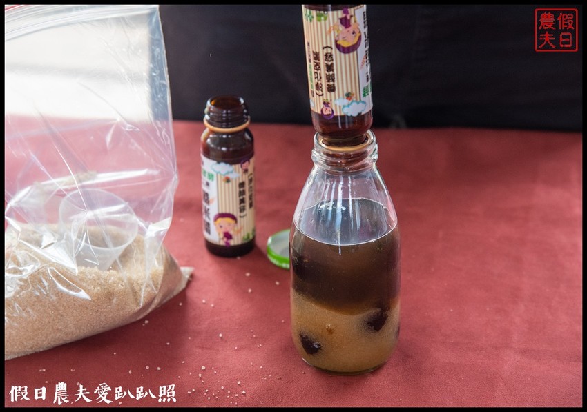 埔里景點|果寶歡酵有機嘉寶果農場．體驗採樹葡萄樂趣/DIY - 假日農夫愛趴趴照