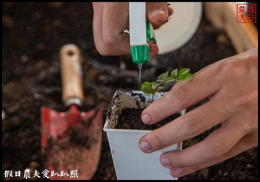 埔里景點|果寶歡酵有機嘉寶果農場．體驗採樹葡萄樂趣/DIY - 假日農夫愛趴趴照