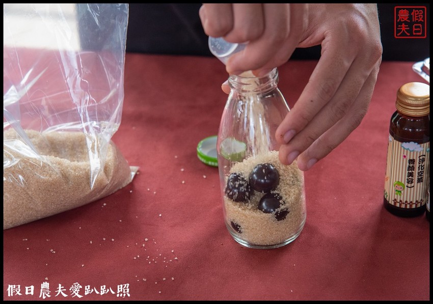埔里景點|果寶歡酵有機嘉寶果農場．體驗採樹葡萄樂趣/DIY - 假日農夫愛趴趴照