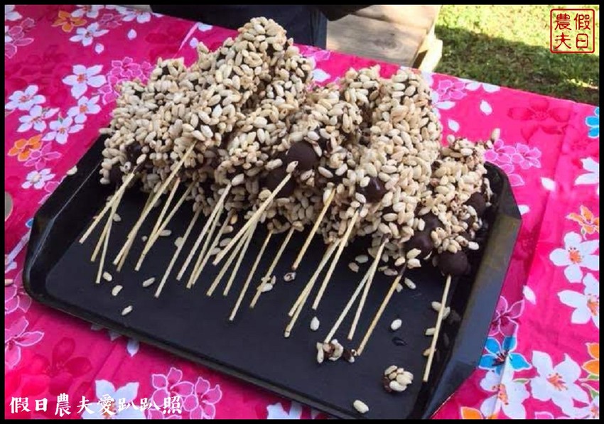 埔里景點|果寶歡酵有機嘉寶果農場．體驗採樹葡萄樂趣/DIY - 假日農夫愛趴趴照