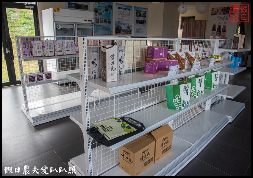 埔里景點|果寶歡酵有機嘉寶果農場．體驗採樹葡萄樂趣/DIY - 假日農夫愛趴趴照