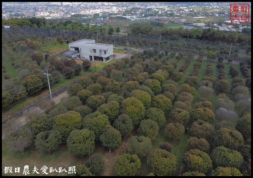 埔里景點|果寶歡酵有機嘉寶果農場．體驗採樹葡萄樂趣/DIY - 假日農夫愛趴趴照