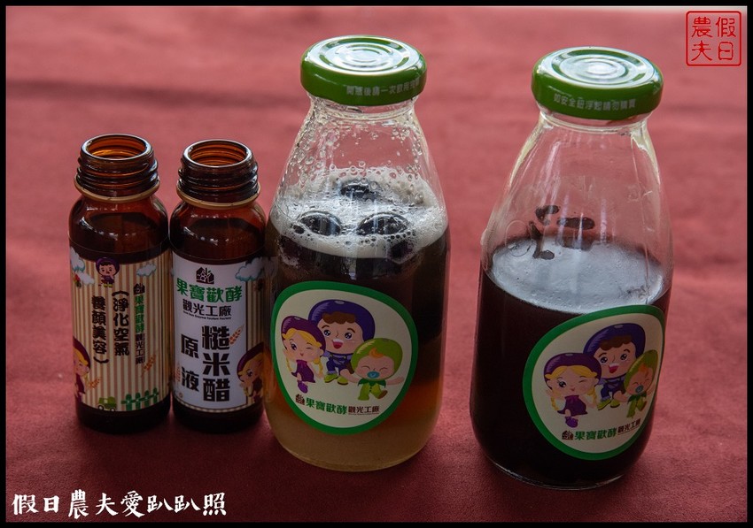 埔里景點|果寶歡酵有機嘉寶果農場．體驗採樹葡萄樂趣/DIY - 假日農夫愛趴趴照