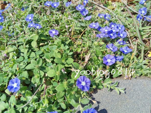 追日大道_08.jpg 追日大道_08.jpg