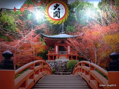 093-69302276_2625094800881642_5706817333612249088_n