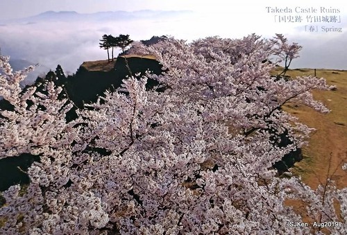 052-69046333_2625097590881363_4299465604227661824_n-001