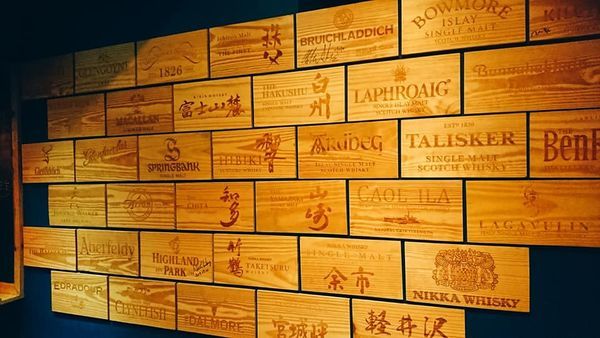 69265664_2598511460180527_5069229090628698112_n