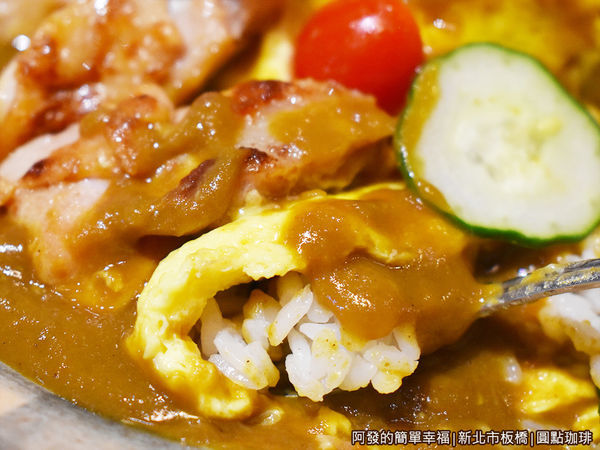圓點珈琲31-嫩煎雞腿咖哩特寫.JPG