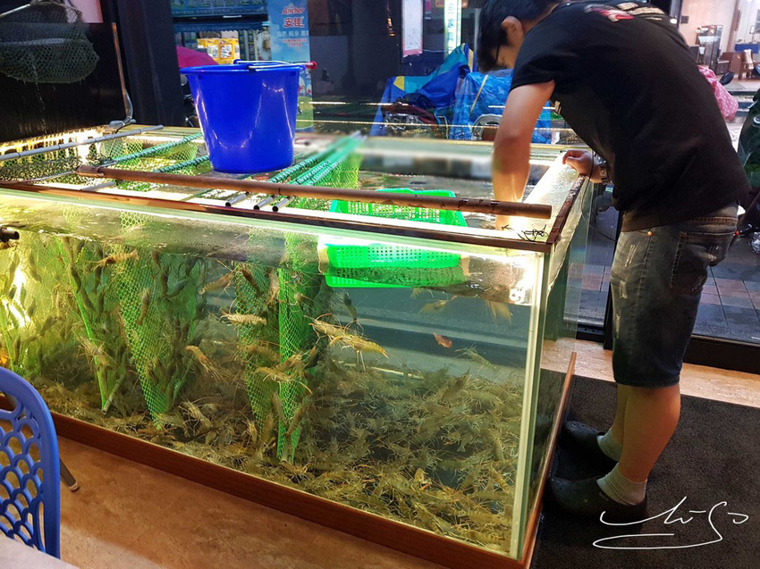 蝦犇 台式流水蝦 (29).jpg