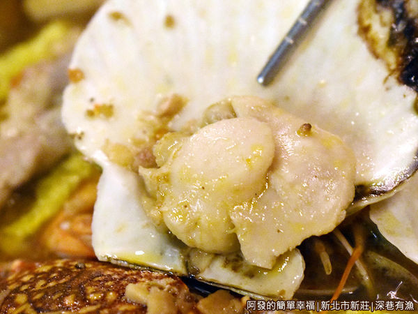 深巷有漁38-扇貝.JPG 深巷有漁38-扇貝.JPG