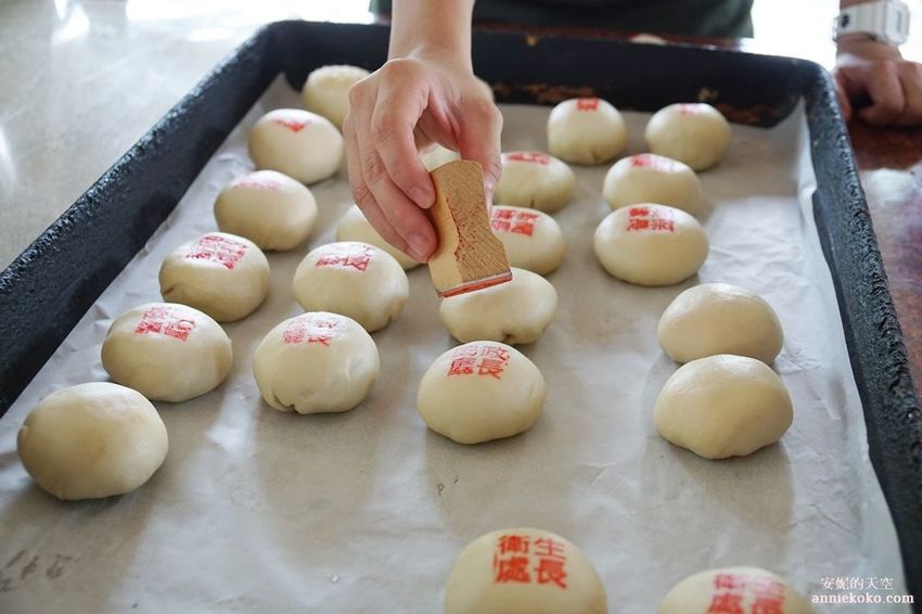 [南投 兩天一夜行程 ] 省府日常散策 漫遊中興新村 騎乘協力車巷弄深度旅行 - 安妮的天空