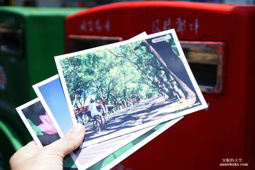 [南投 兩天一夜行程 ] 省府日常散策 漫遊中興新村 騎乘協力車巷弄深度旅行 - 安妮的天空