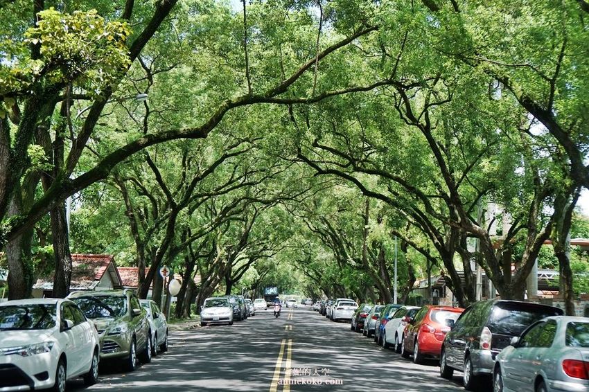 [南投 兩天一夜行程 ] 省府日常散策 漫遊中興新村 騎乘協力車巷弄深度旅行 - 安妮的天空