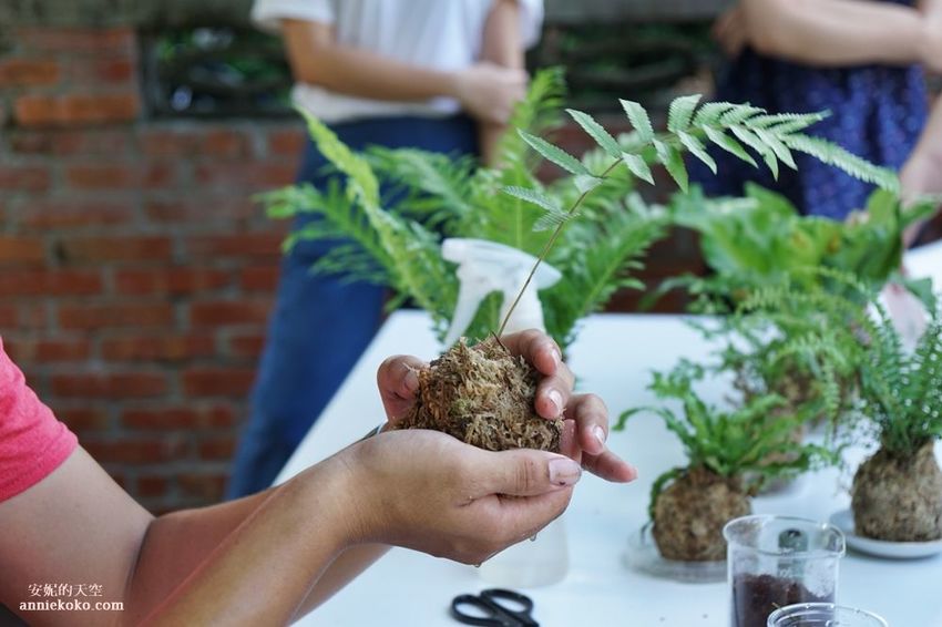 [南投 兩天一夜行程 ] 省府日常散策 漫遊中興新村 騎乘協力車巷弄深度旅行 - 安妮的天空