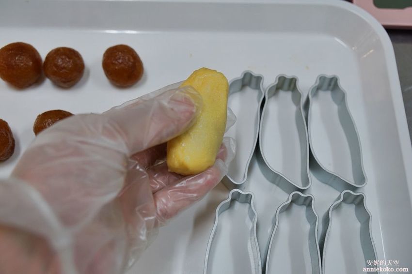 [南投 兩天一夜行程 ] 省府日常散策 漫遊中興新村 騎乘協力車巷弄深度旅行 - 安妮的天空