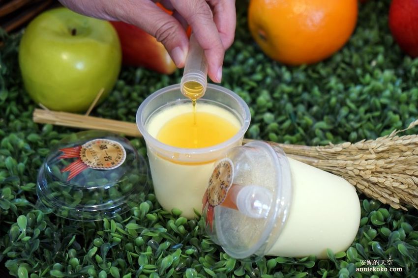 [南投 兩天一夜行程 ] 省府日常散策 漫遊中興新村 騎乘協力車巷弄深度旅行 - 安妮的天空