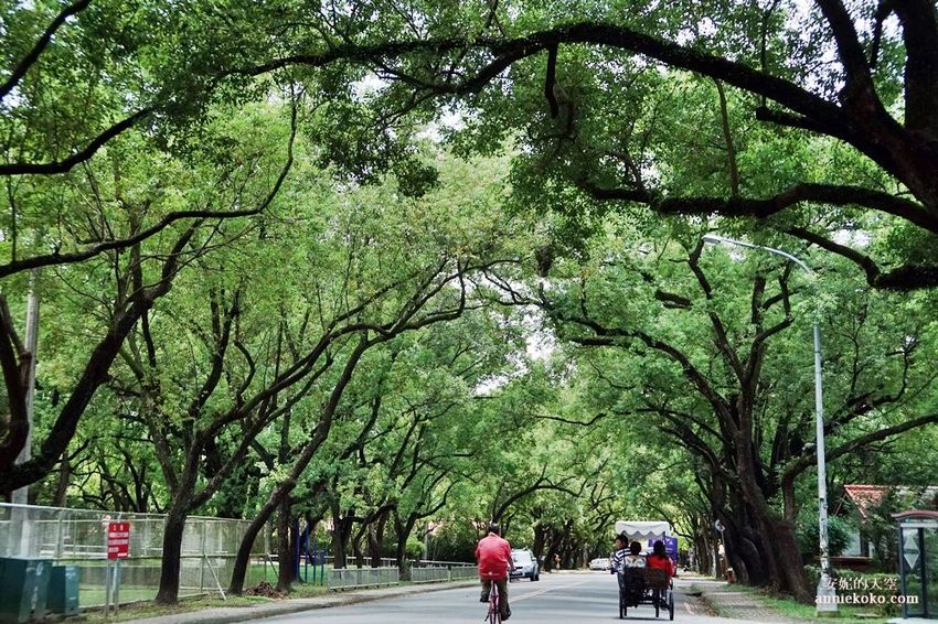[南投 兩天一夜行程 ] 省府日常散策 漫遊中興新村 騎乘協力車巷弄深度旅行 - 安妮的天空