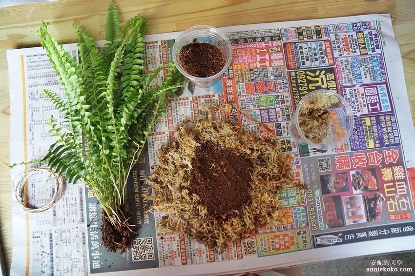 [南投 兩天一夜行程 ] 省府日常散策 漫遊中興新村 騎乘協力車巷弄深度旅行 - 安妮的天空