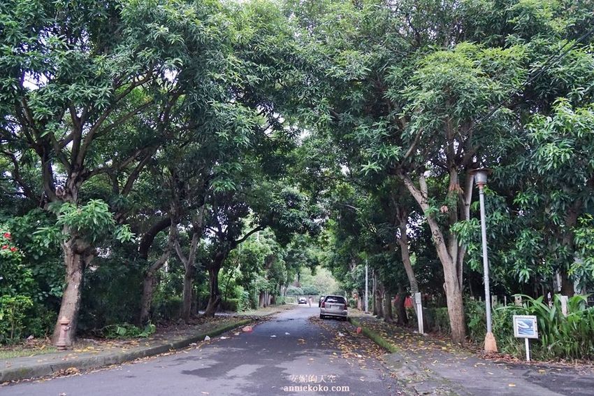 [南投 兩天一夜行程 ] 省府日常散策 漫遊中興新村 騎乘協力車巷弄深度旅行 - 安妮的天空