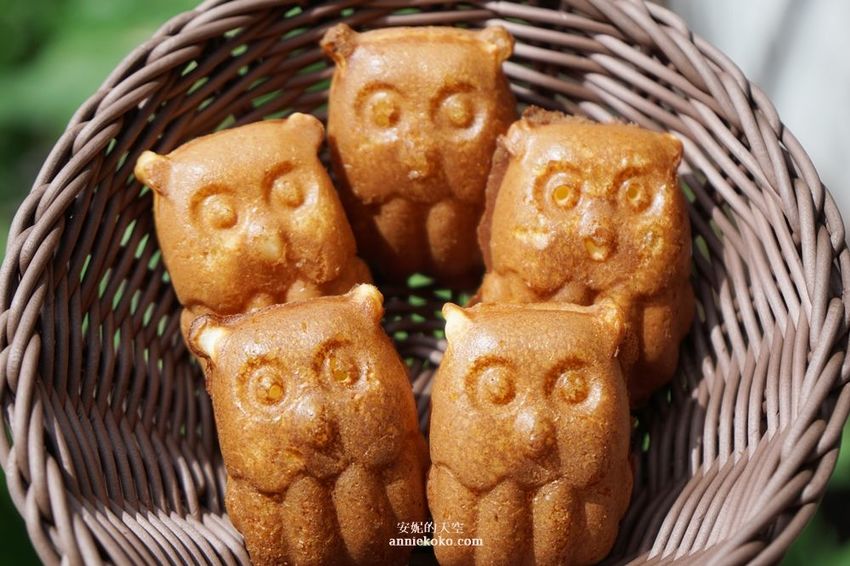 [南投 兩天一夜行程 ] 省府日常散策 漫遊中興新村 騎乘協力車巷弄深度旅行 - 安妮的天空