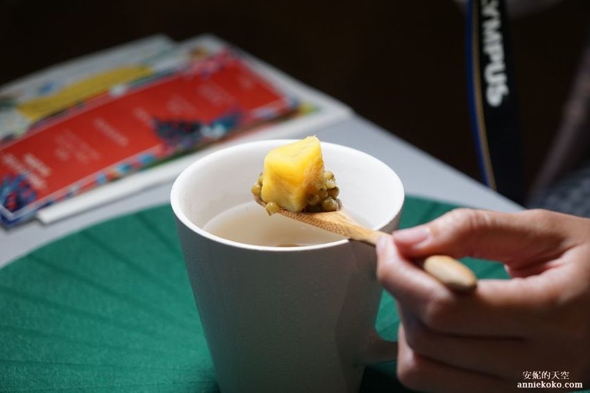 [南投 兩天一夜行程 ] 省府日常散策 漫遊中興新村 騎乘協力車巷弄深度旅行 - 安妮的天空