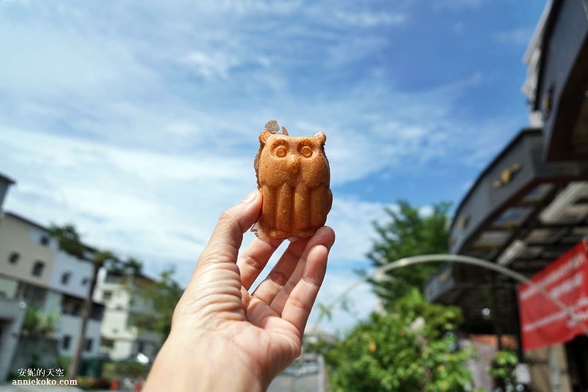 [南投 兩天一夜行程 ] 省府日常散策 漫遊中興新村 騎乘協力車巷弄深度旅行 - 安妮的天空