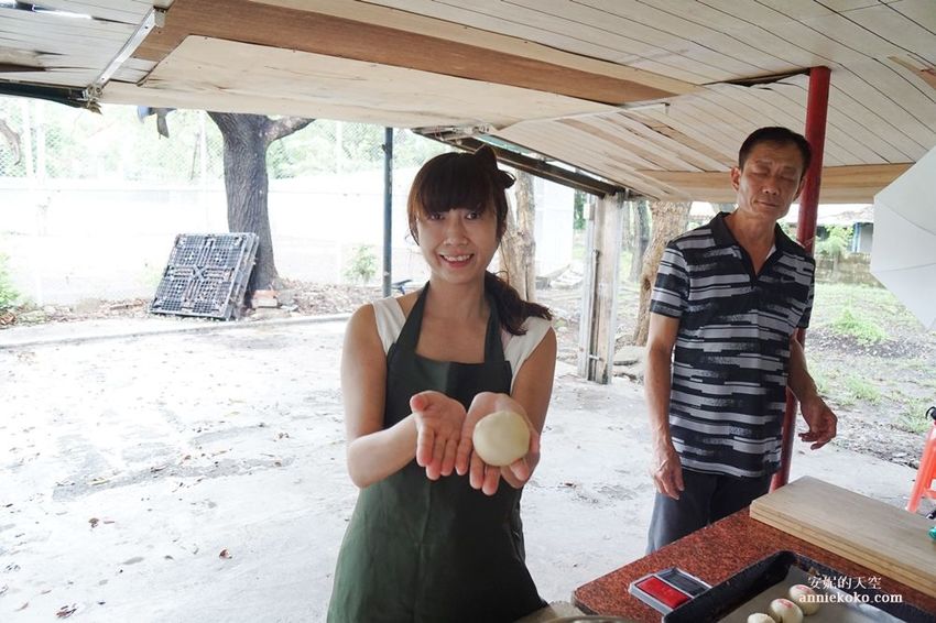 [南投 兩天一夜行程 ] 省府日常散策 漫遊中興新村 騎乘協力車巷弄深度旅行 - 安妮的天空