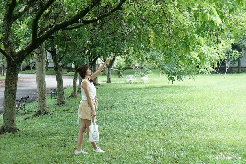 [南投 兩天一夜行程 ] 省府日常散策 漫遊中興新村 騎乘協力車巷弄深度旅行 - 安妮的天空