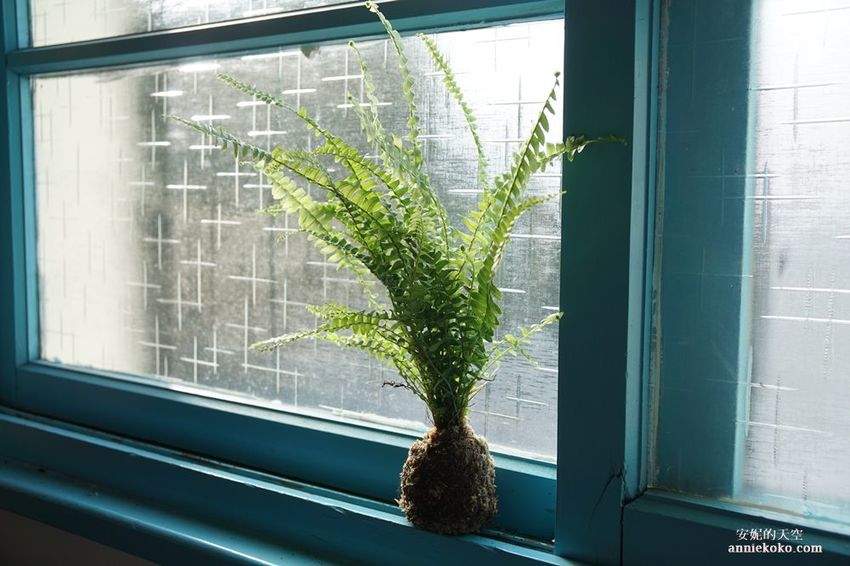 [南投 兩天一夜行程 ] 省府日常散策 漫遊中興新村 騎乘協力車巷弄深度旅行 - 安妮的天空