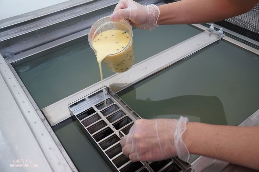 [南投 兩天一夜行程 ] 省府日常散策 漫遊中興新村 騎乘協力車巷弄深度旅行 - 安妮的天空