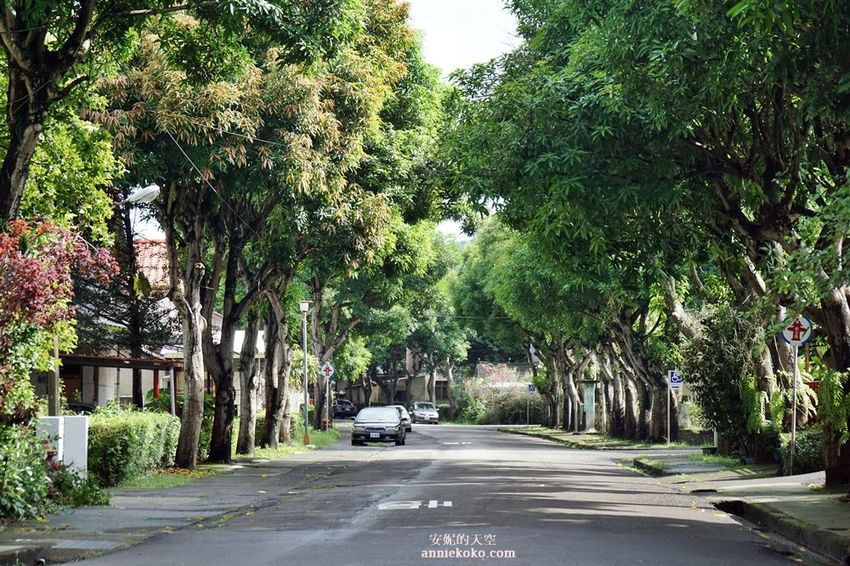 [南投 兩天一夜行程 ] 省府日常散策 漫遊中興新村 騎乘協力車巷弄深度旅行 - 安妮的天空