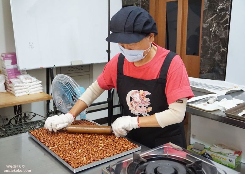 [南投 兩天一夜行程 ] 省府日常散策 漫遊中興新村 騎乘協力車巷弄深度旅行 - 安妮的天空