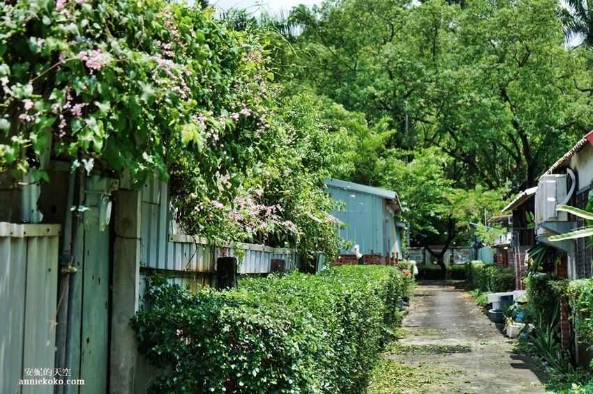 [南投 兩天一夜行程 ] 省府日常散策 漫遊中興新村 騎乘協力車巷弄深度旅行 - 安妮的天空