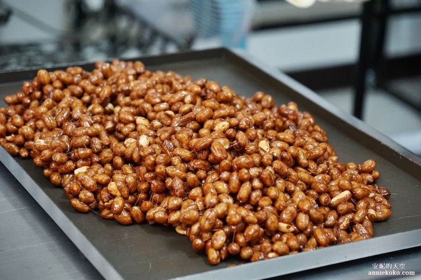 [南投 兩天一夜行程 ] 省府日常散策 漫遊中興新村 騎乘協力車巷弄深度旅行 - 安妮的天空