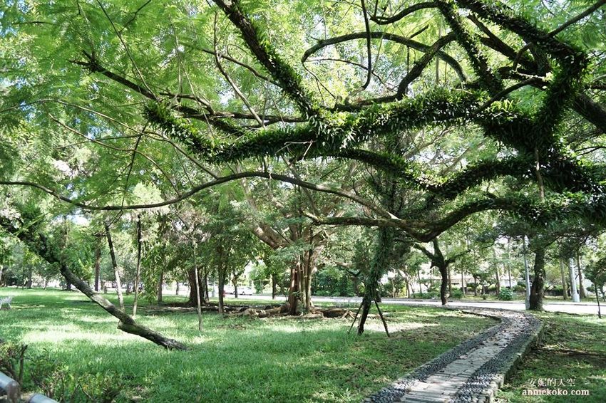 [南投 兩天一夜行程 ] 省府日常散策 漫遊中興新村 騎乘協力車巷弄深度旅行 - 安妮的天空