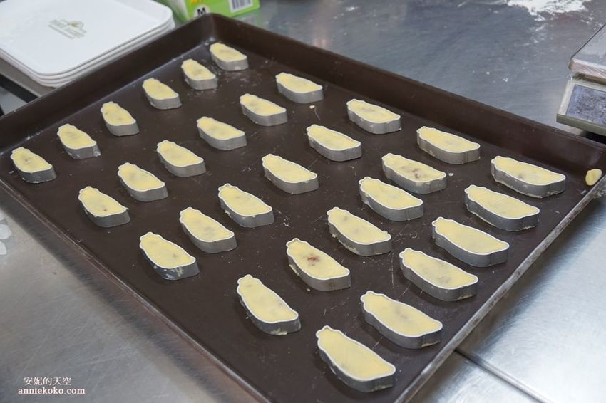 [南投 兩天一夜行程 ] 省府日常散策 漫遊中興新村 騎乘協力車巷弄深度旅行 - 安妮的天空