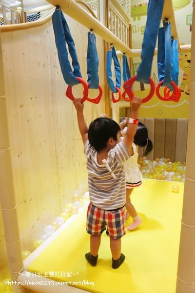 DSC02556.JPG DSC02556.JPG