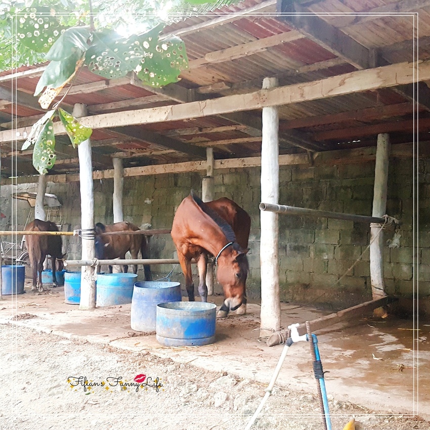 PAPA Kit%5Cs度假村一日遊 PAPA Kit%5Cs度假村一日遊