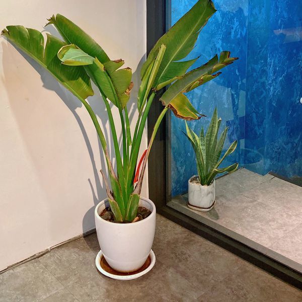 十三月 大安店04.JPG